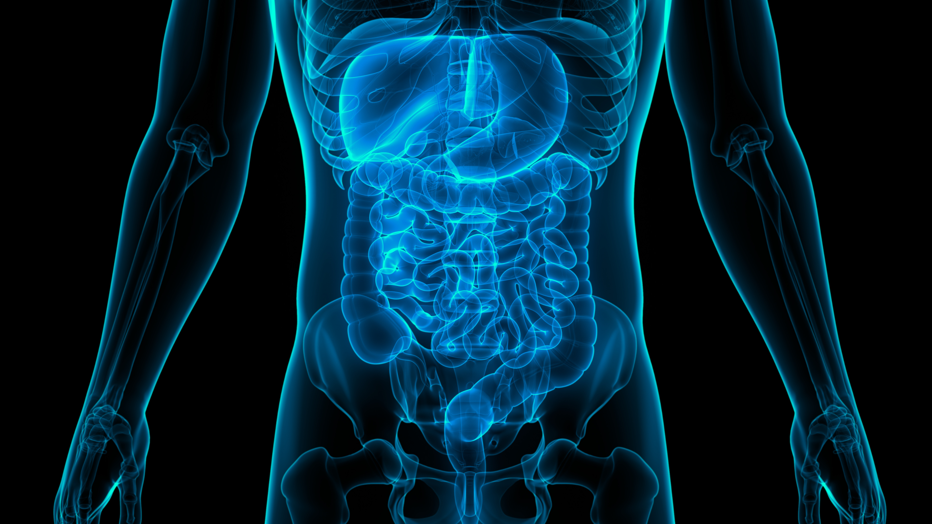 GI (gastroenterology) consult