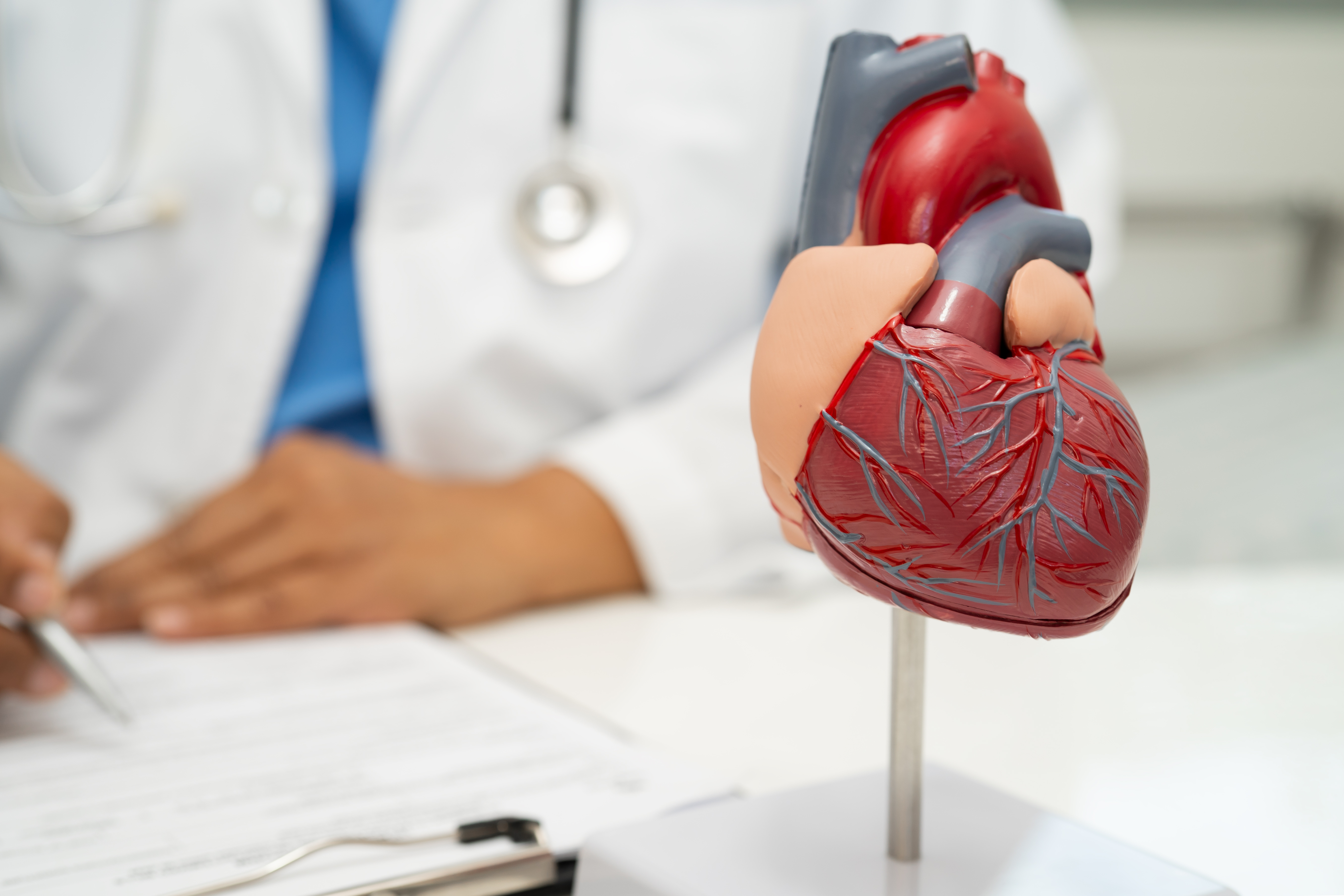 Cardiology consult